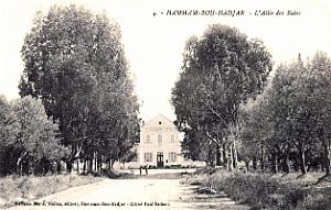 Hammam-Bou-Hadjar - Allee des Bains